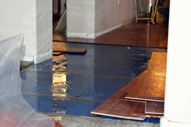 Professional Water Damage Restoration technician working in Chatham, VA